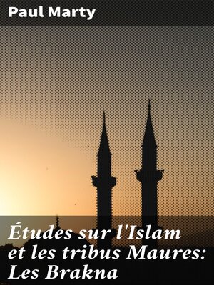 cover image of Études sur l'Islam et les tribus Maures